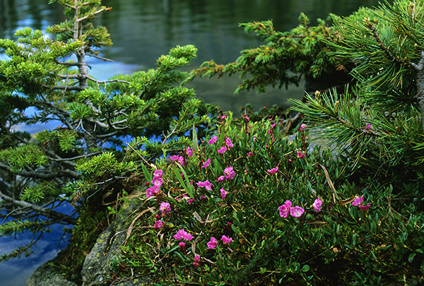 Blue-Lake-Crazy-Mountains